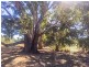 Tabilk-Monea Road, Avenel VIC 3664