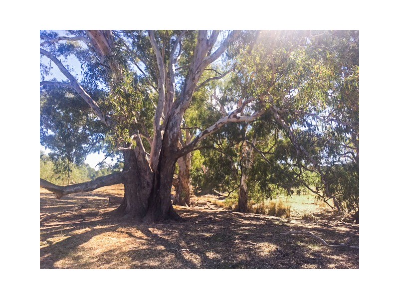 Tabilk-Monea Road, Avenel VIC 3664