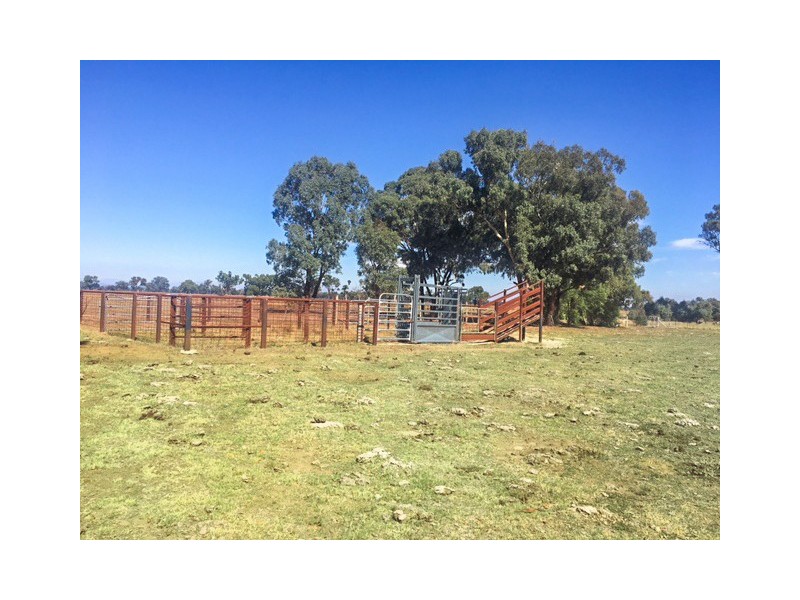 Tabilk-Monea Road, Avenel VIC 3664