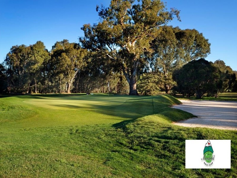 39 Elvins Street, Mansfield VIC 3722