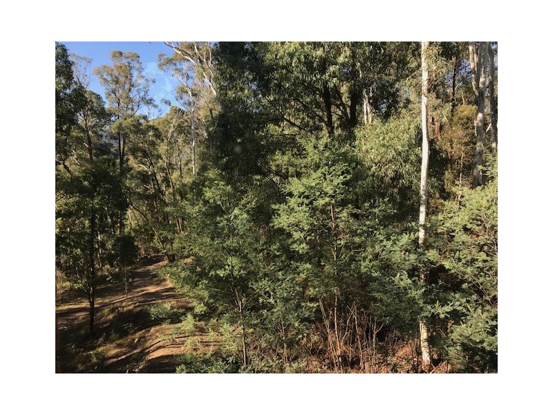 28 Christensen Street, Sawmill Settlement VIC 3723