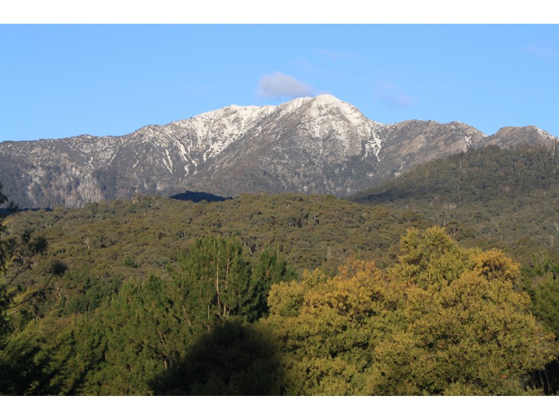 23 Alpine Ridge Drive, Merrijig VIC 3723