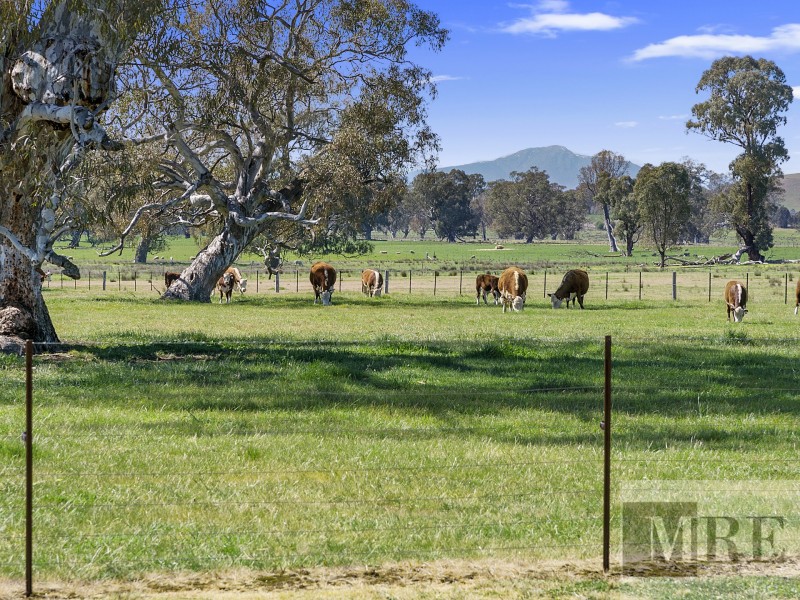 42 Dueran Lane, Mansfield VIC 3722