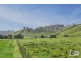 160 Coles Road, Mansfield VIC 3722