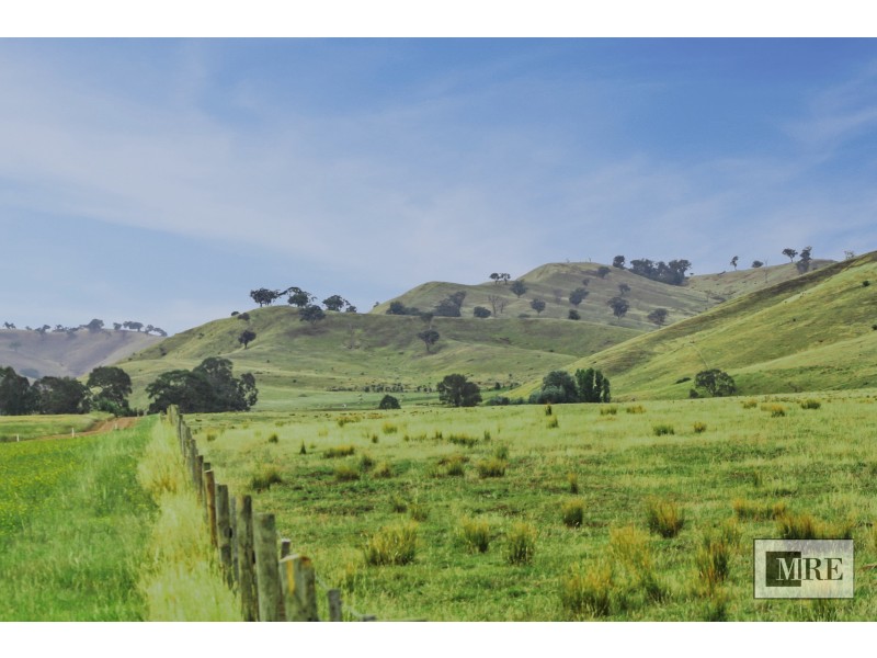 160 Coles Road, Mansfield VIC 3722
