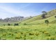 160 Coles Road, Mansfield VIC 3722