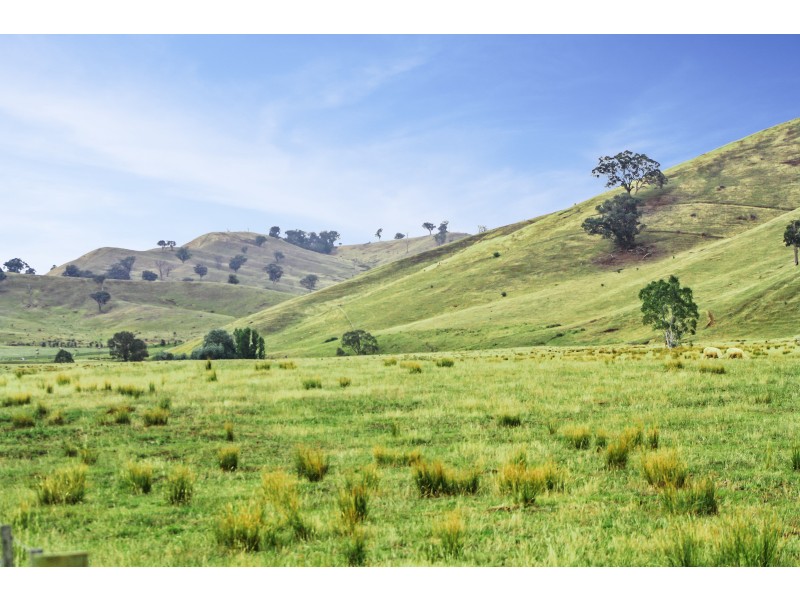 160 Coles Road, Mansfield VIC 3722