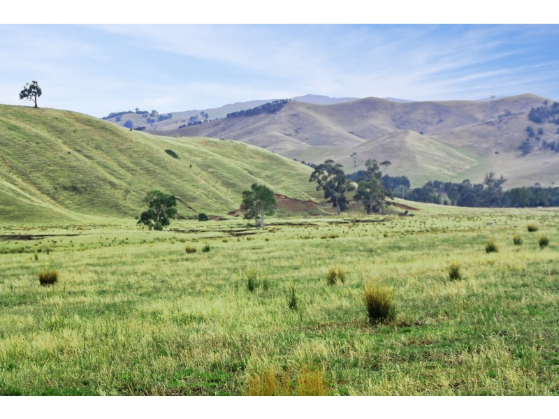 160 Coles Road, Mansfield VIC 3722