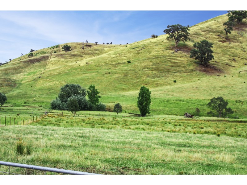 160 Coles Road, Mansfield VIC 3722