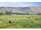 160 Coles Road, Mansfield VIC 3722