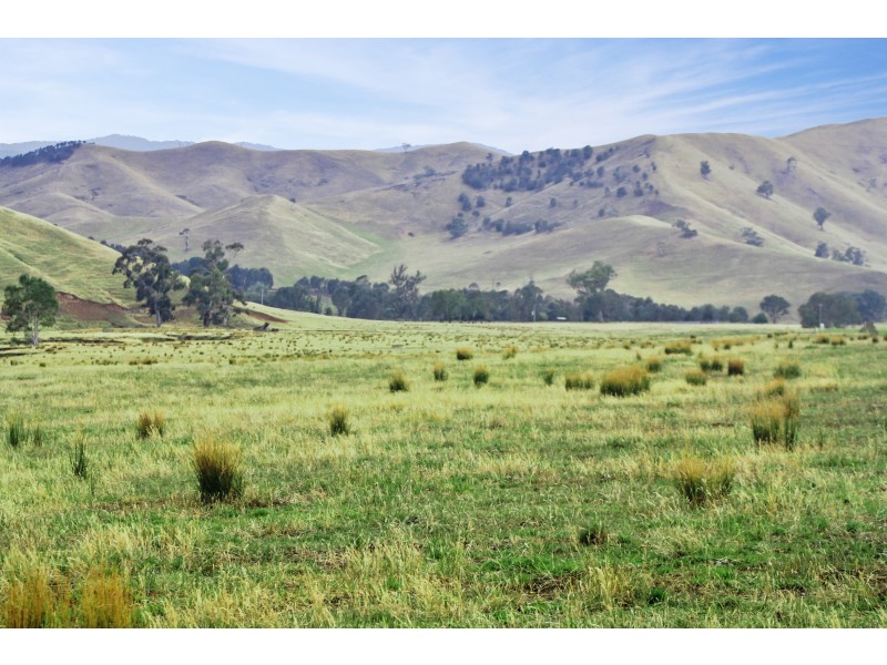 160 Coles Road, Mansfield VIC 3722
