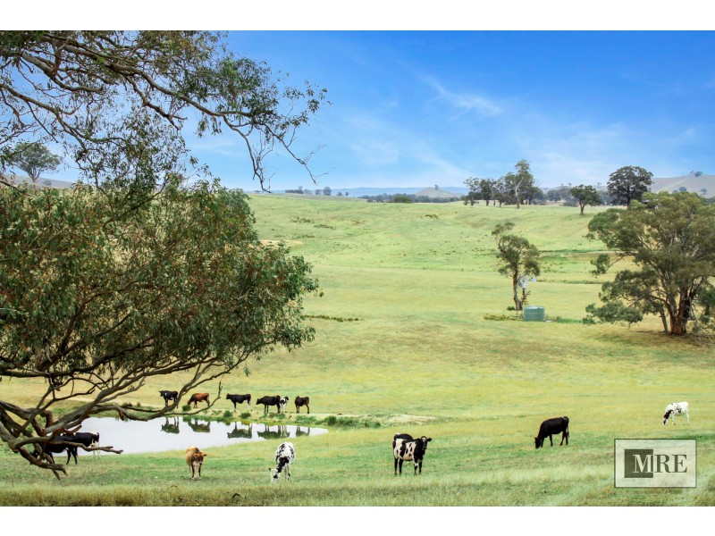 CA 41 & 41C of 46 Kubeils Road, Merton VIC 3715