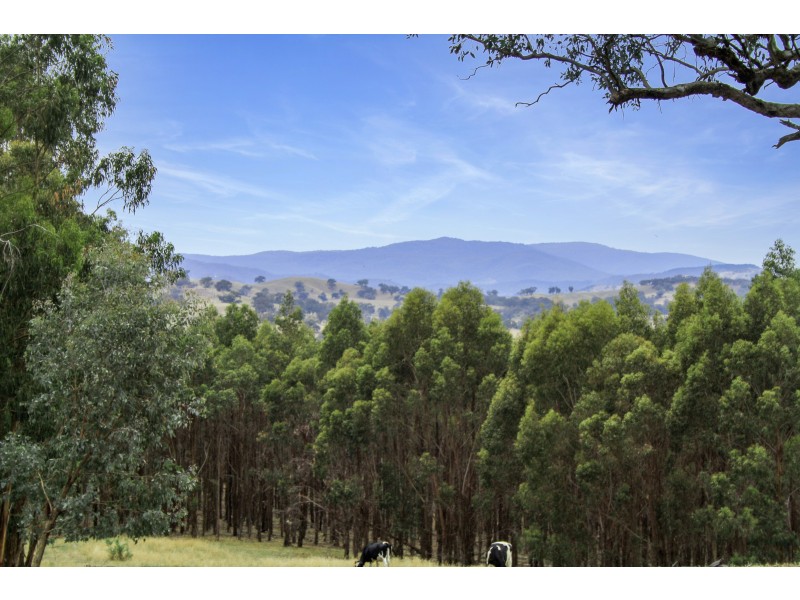 CA 41 & 41C of 46 Kubeils Road, Merton VIC 3715