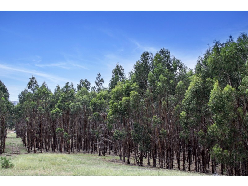 CA 41 & 41C of 46 Kubeils Road, Merton VIC 3715