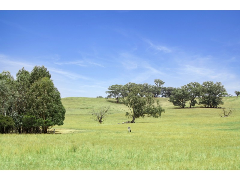 CA 41 & 41C of 46 Kubeils Road, Merton VIC 3715