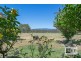 821 Howes Creek Road, Mansfield VIC 3722