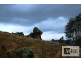 WALKERS Sheans Creek Road, Euroa VIC 3666