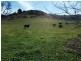 WALKERS Sheans Creek Road, Euroa VIC 3666