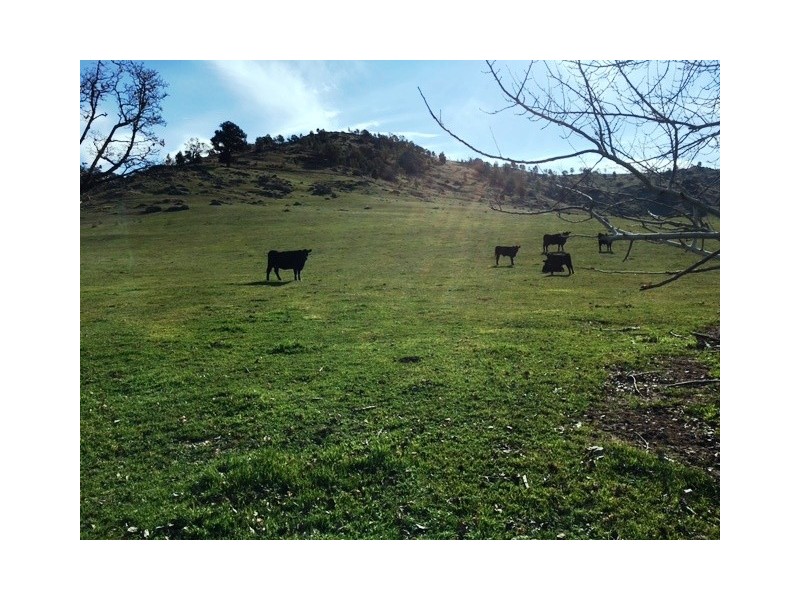 WALKERS Sheans Creek Road, Euroa VIC 3666