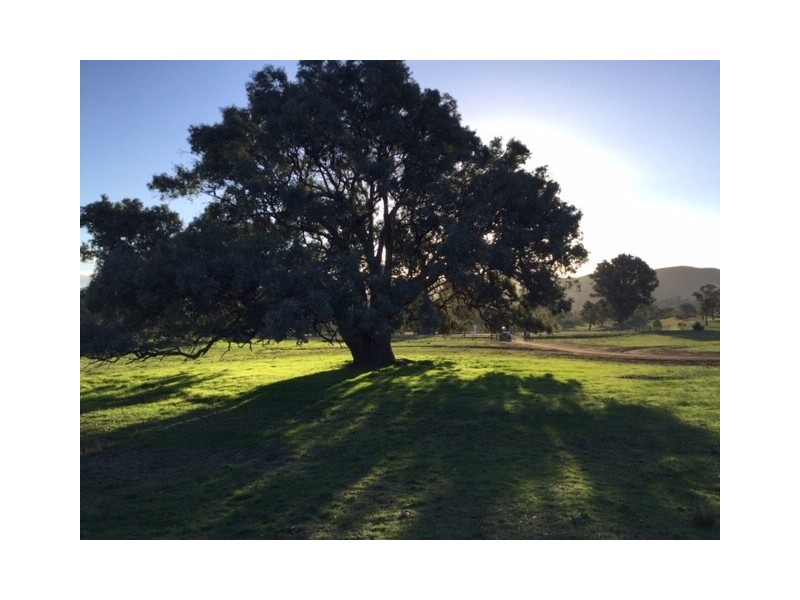 34 Loyola Drive, Mansfield VIC 3722