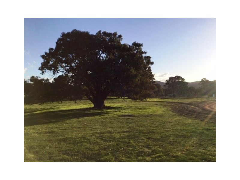 34 Loyola Drive, Mansfield VIC 3722