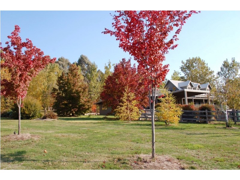 2475 Mount Buller Road, Merrijig VIC 3723