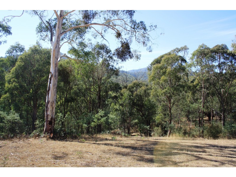 37 Cemetery Lane, Jamieson VIC 3723