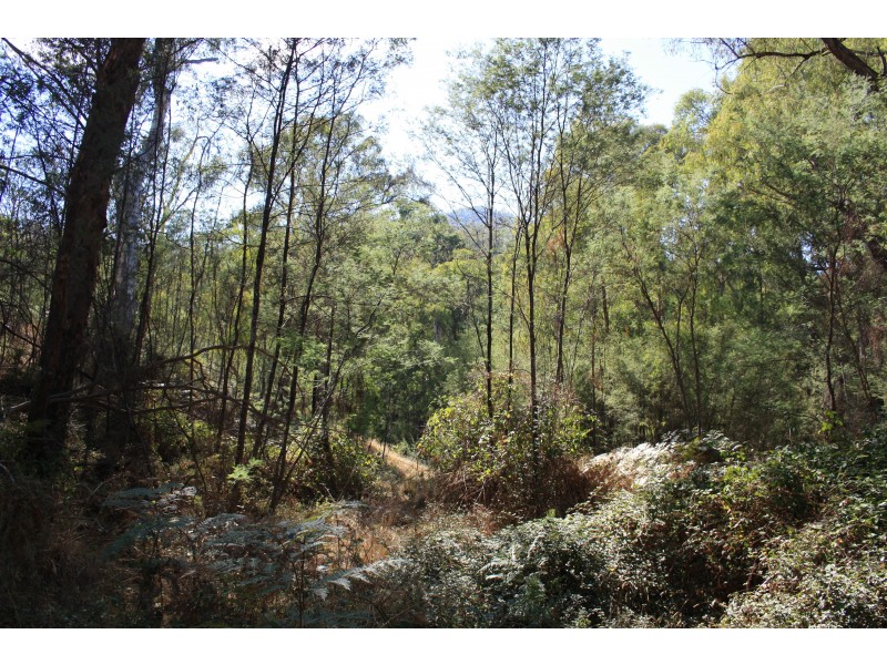 37 Cemetery Lane, Jamieson VIC 3723