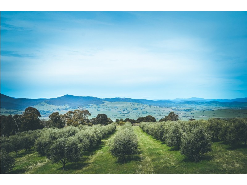 133 Gonzaga Lane, Merrijig VIC 3723