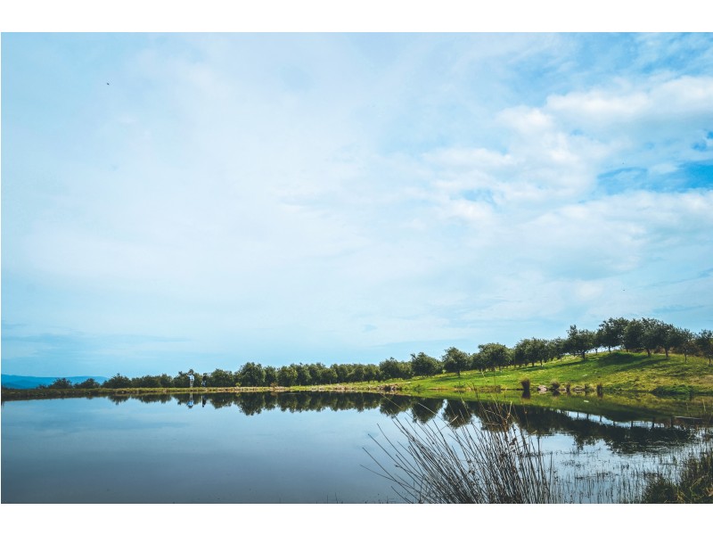 133 Gonzaga Lane, Merrijig VIC 3723