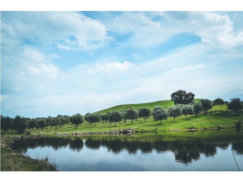 133 Gonzaga Lane, Merrijig VIC 3723