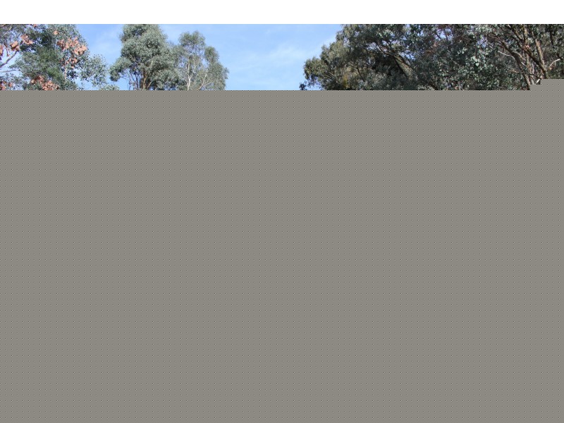 38 Bluegum Crescent, Bonnie Doon VIC 3720