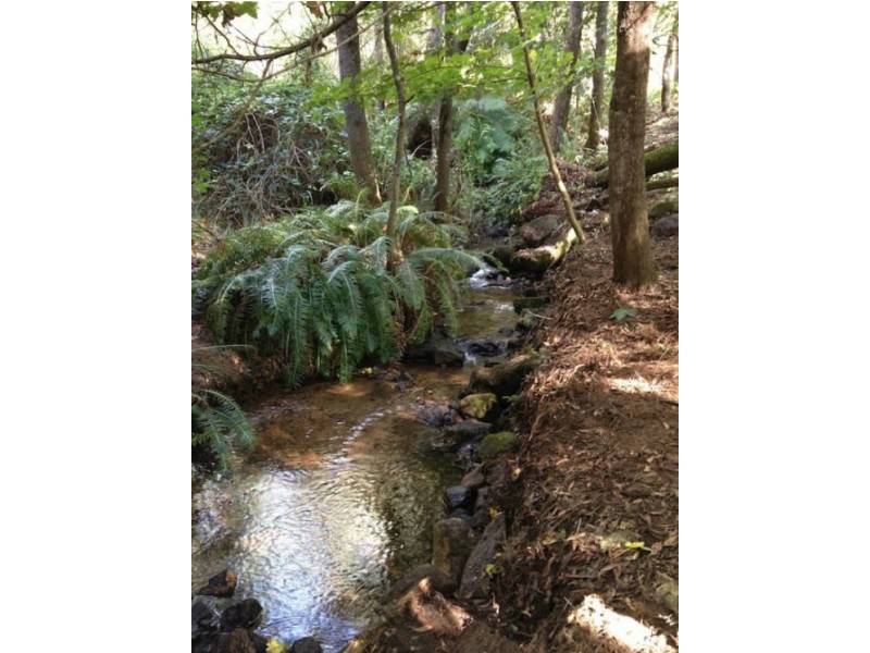 35 Purcell Drive, Merrijig VIC 3723