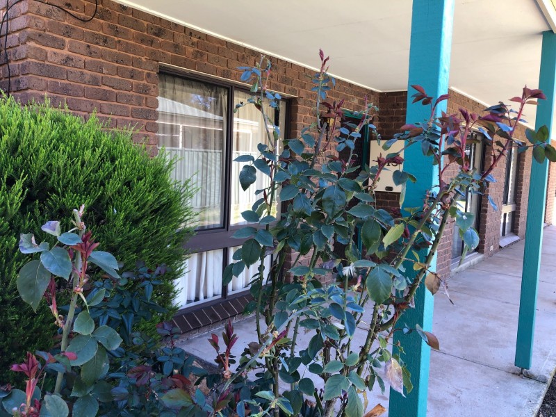 43 Shelton Street, Avenel VIC 3664