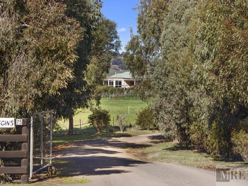 Mansfield VIC 3722