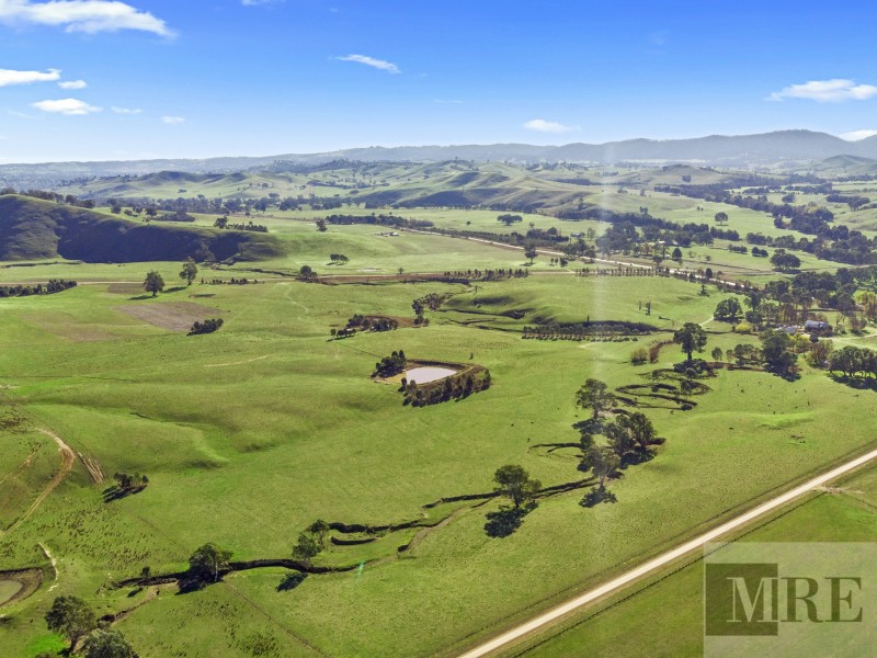 Mansfield VIC 3722
