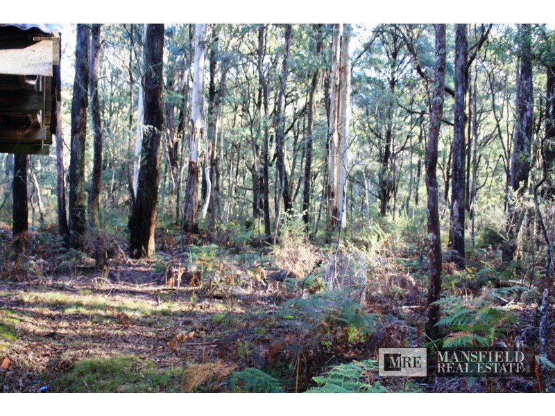 587 Bunstons Road, Tolmie VIC 3723