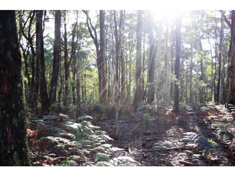 587 Bunstons Road, Tolmie VIC 3723