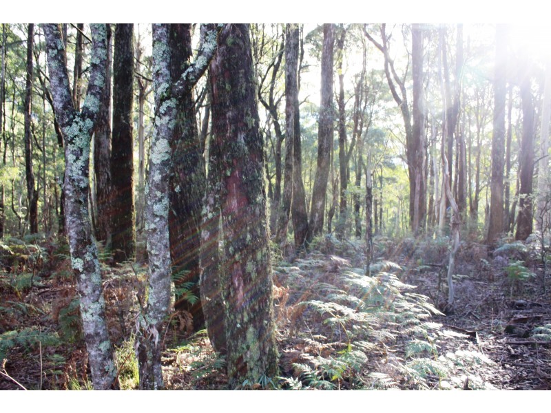 587 Bunstons Road, Tolmie VIC 3723