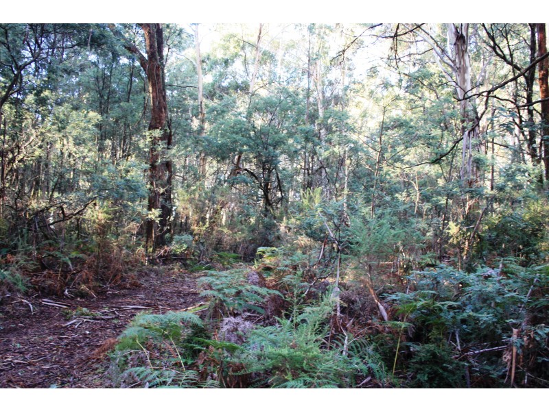 587 Bunstons Road, Tolmie VIC 3723