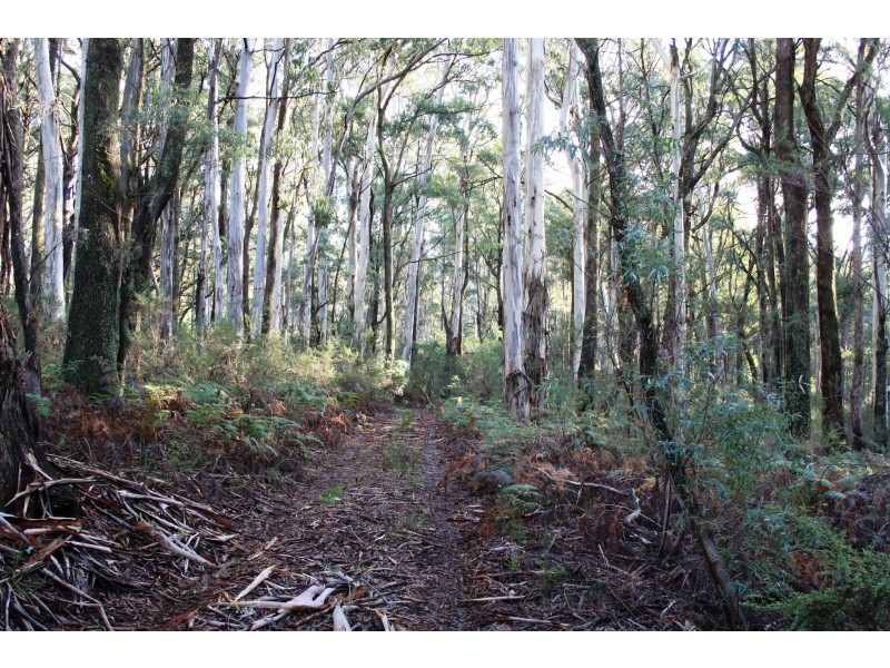 587 Bunstons Road, Tolmie VIC 3723