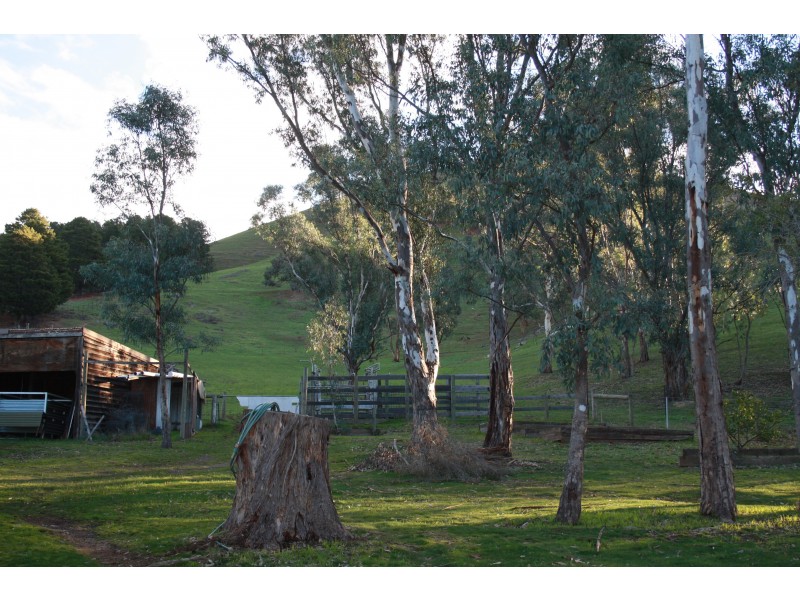 3541 Maintongoon Road, Bonnie Doon VIC 3720