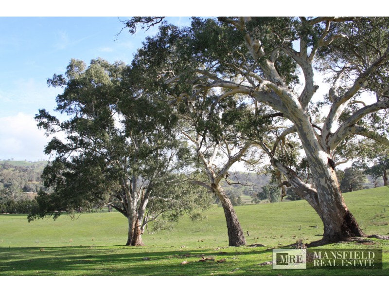2/160 Dry Creek Road, Bonnie Doon VIC 3720