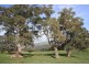 2/160 Dry Creek Road, Bonnie Doon VIC 3720