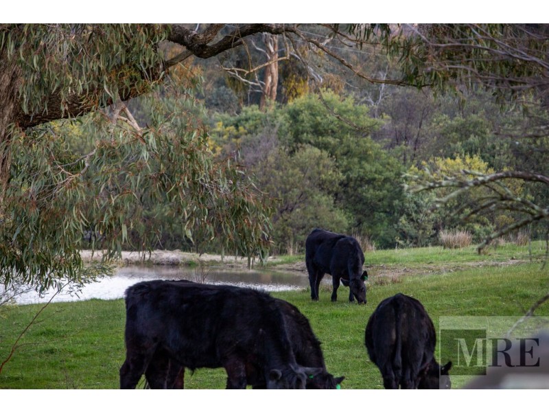 3220 Midland Highway, Lima South VIC 3673