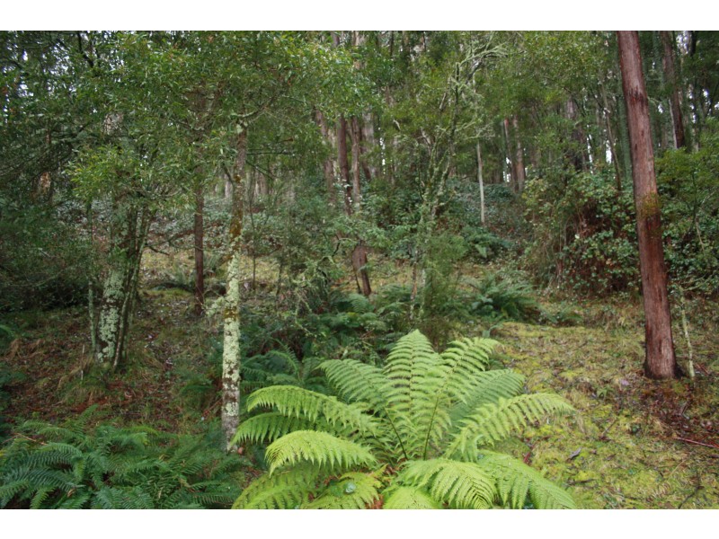 363 Bunstons Road, Tolmie VIC 3723