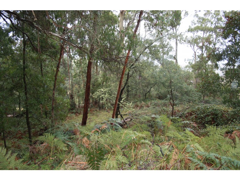 363 Bunstons Road, Tolmie VIC 3723