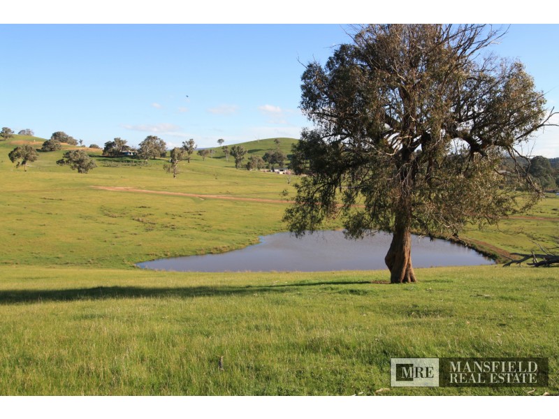 Mansfield VIC 3722