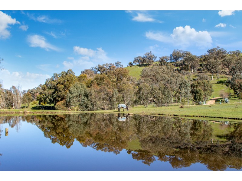 99 Kiernans Road, Bonnie Doon VIC 3720