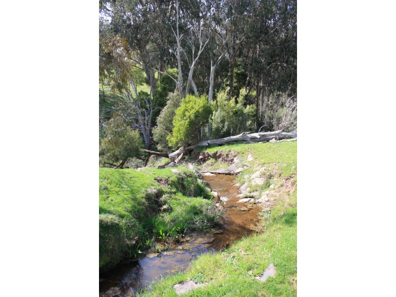 796 Buttercup Road, Merrijig VIC 3723